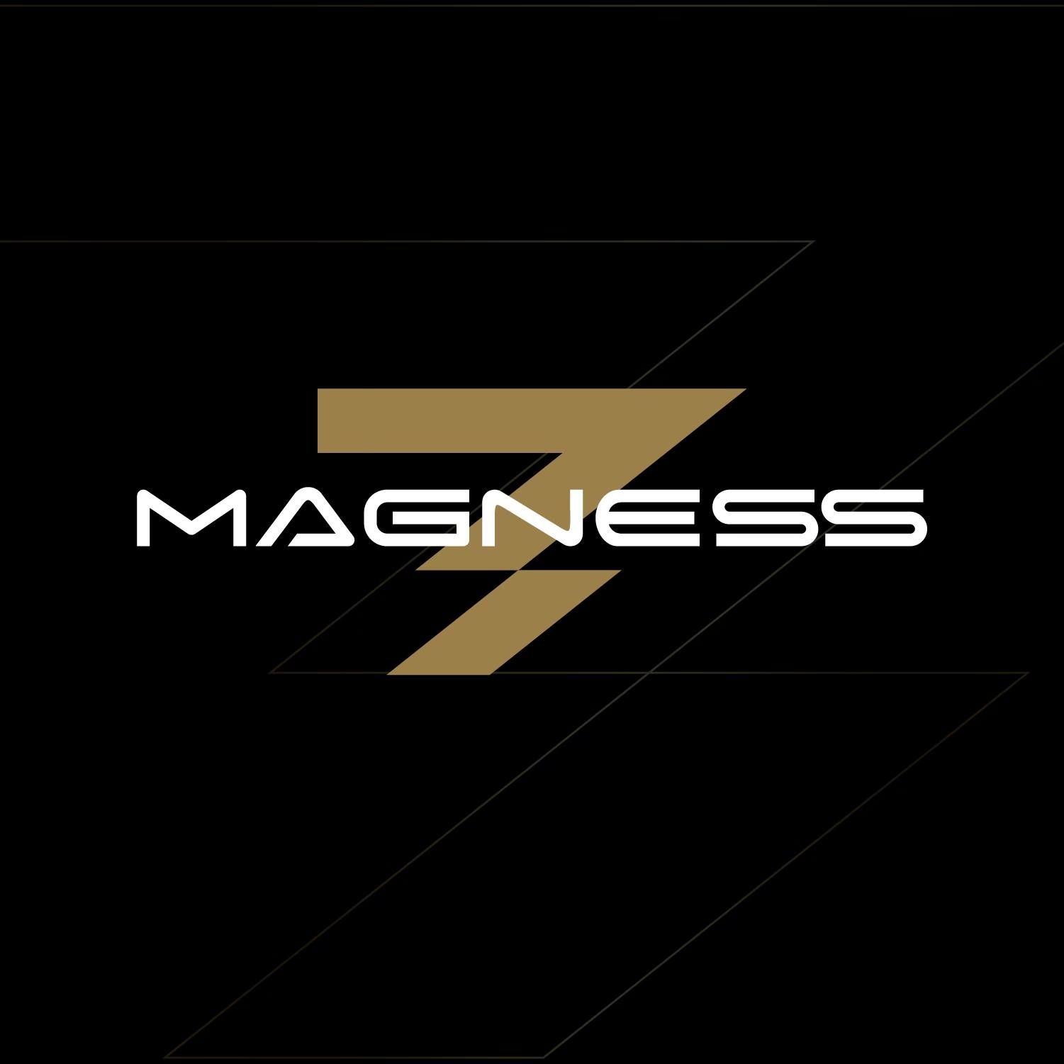 Logo MAGNESS